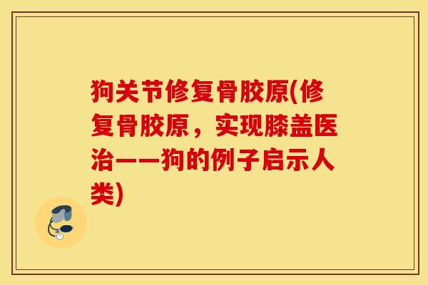 狗关节修复骨胶原(修复骨胶原,实现膝盖医——狗的例子启示人类) 狗关节修复骨胶原(修复骨胶原,实现膝盖医——狗的例子启示人类)