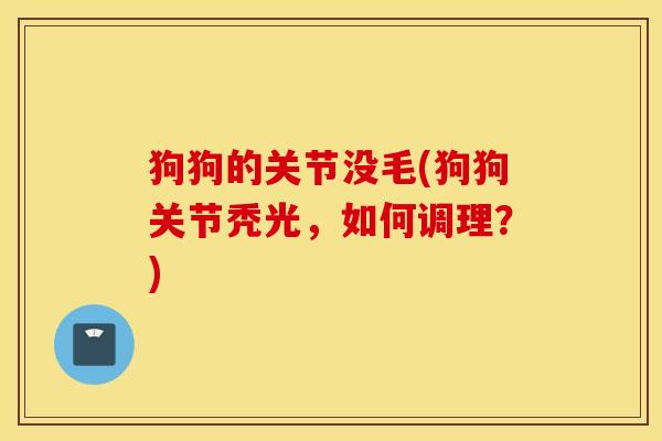 狗狗的关节没毛(狗狗关节秃光,如何调理?) 狗狗的关节没毛(狗狗关节秃光,如何调理?)