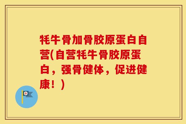 牦牛骨加骨胶原蛋白自营(自营牦牛骨胶原蛋白,强骨健体,促进健康!) 牦牛骨加骨胶原蛋白自营(自营牦牛骨胶原蛋白,强骨健体,促进健康!)