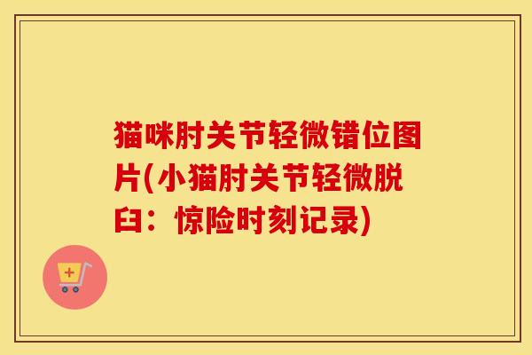猫咪肘关节轻微错位图片(小猫肘关节轻微脱臼:惊险时刻记录) 猫咪肘关节轻微错位图片(小猫肘关节轻微脱臼:惊险时刻记录)
