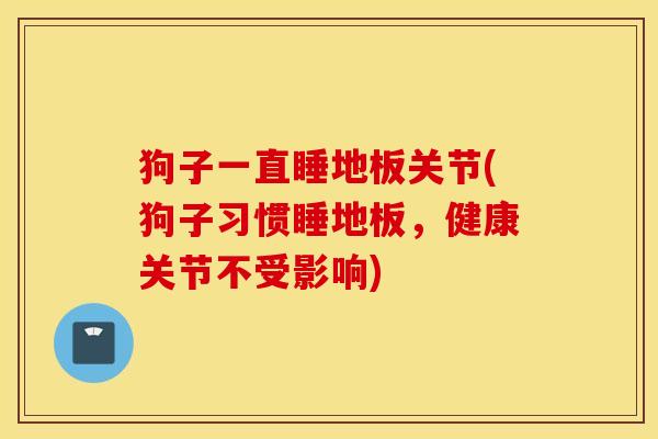 狗子一直睡地板关节(狗子习惯睡地板,健康关节不受影响) 狗子一直睡地板关节(狗子习惯睡地板,健康关节不受影响)