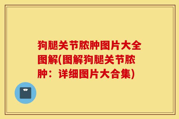 狗腿关节脓肿图片大全图解(图解狗腿关节脓肿:详细图片大合集) 狗腿关节脓肿图片大全图解(图解狗腿关节脓肿:详细图片大合集)
