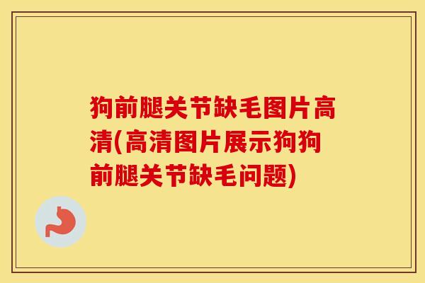 狗前腿关节缺毛图片高清(高清图片展示狗狗前腿关节缺毛问题) 狗前腿关节缺毛图片高清(高清图片展示狗狗前腿关节缺毛问题)