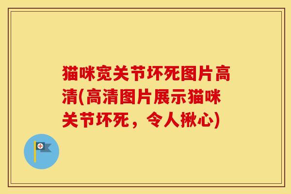 猫咪宽关节坏死图片高清(高清图片展示猫咪关节坏死,令人揪心) 猫咪宽关节坏死图片高清(高清图片展示猫咪关节坏死,令人揪心)