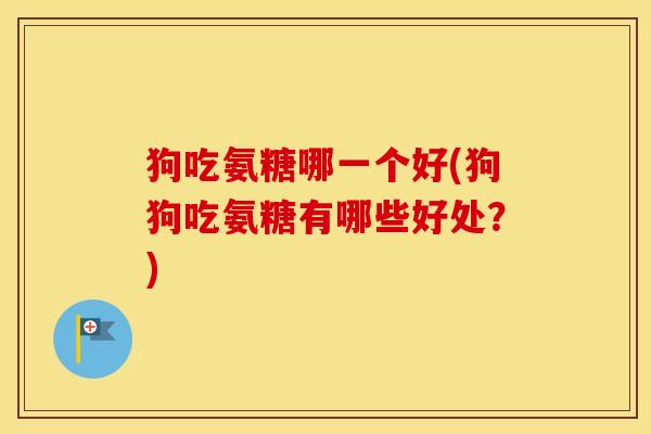 狗吃氨糖哪一个好(狗狗吃氨糖有哪些好处？)