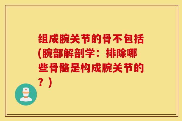 组成腕关节的骨不包括(腕部解剖学:排除哪些骨骼是构成腕关节的?) 组成腕关节的骨不包括(腕部解剖学:排除哪些骨骼是构成腕关节的?)