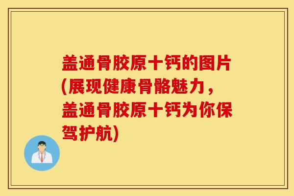 盖通骨胶原十钙的图片(展现健康骨骼魅力,盖通骨胶原十钙为你保驾护航) 盖通骨胶原十钙的图片(展现健康骨骼魅力,盖通骨胶原十钙为你保驾护航)