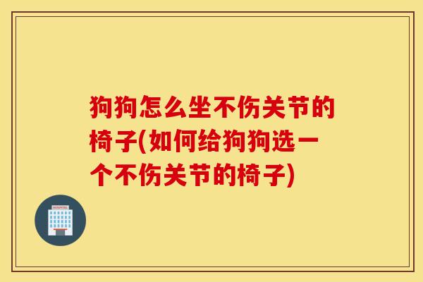 狗狗怎么坐不伤关节的椅子(如何给狗狗选一个不伤关节的椅子)