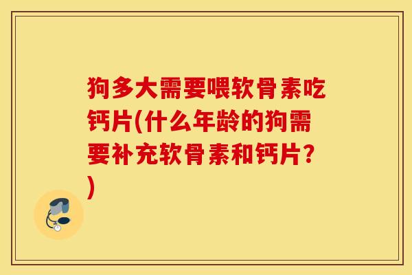 狗多大需要喂软骨素吃钙片(什么年龄的狗需要补充软骨素和钙片？)