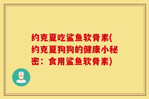约克夏吃鲨鱼软骨素(约克夏狗狗的健康小秘密:食用鲨鱼软骨素) 约克夏吃鲨鱼软骨素(约克夏狗狗的健康小秘密:食用鲨鱼软骨素)