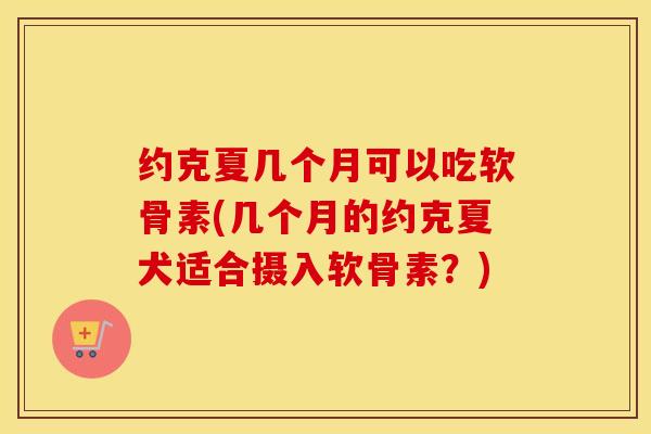 约克夏几个月可以吃软骨素(几个月的约克夏犬适合摄入软骨素?) 约克夏几个月可以吃软骨素(几个月的约克夏犬适合摄入软骨素?)