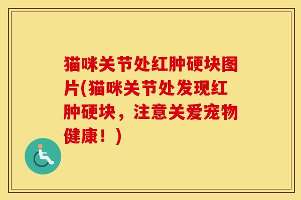 猫咪关节处红肿硬块图片(猫咪关节处发现红肿硬块，注意关爱宠物健康！)