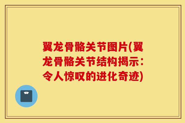 翼龙骨骼关节图片(翼龙骨骼关节结构揭示:令人惊叹的进化奇迹) 翼龙骨骼关节图片(翼龙骨骼关节结构揭示:令人惊叹的进化奇迹)