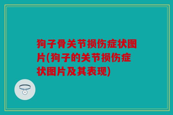 狗子骨关节损伤症状图片(狗子的关节损伤症状图片及其表现) 狗子骨关节损伤症状图片(狗子的关节损伤症状图片及其表现)