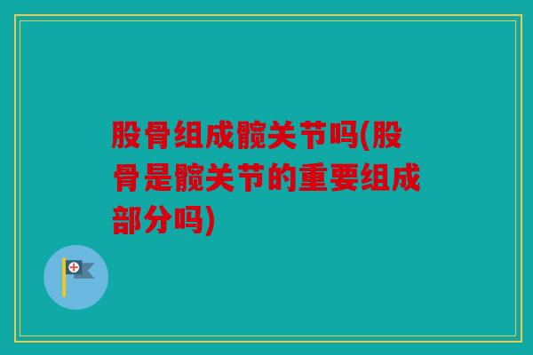股骨组成髋关节吗(股骨是髋关节的重要组成部分吗)