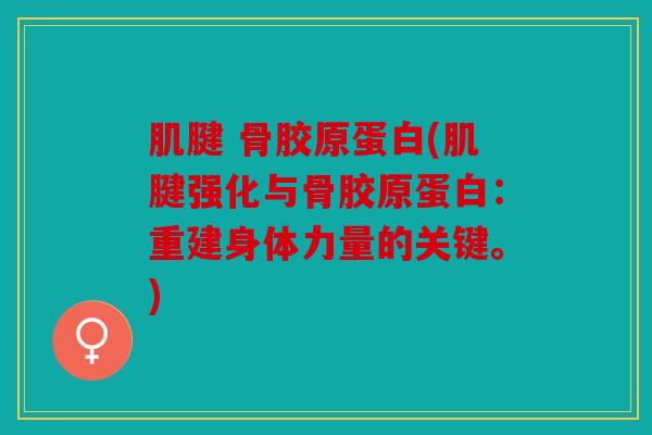 肌腱 骨胶原蛋白(肌腱强化与骨胶原蛋白:重建身体力量的关键。) 肌腱 骨胶原蛋白(肌腱强化与骨胶原蛋白:重建身体力量的关键。)