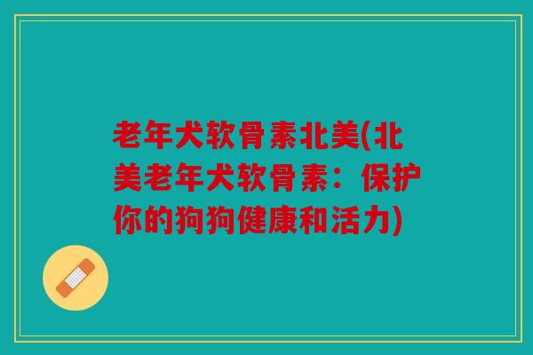 老年犬软骨素北美(北美老年犬软骨素:保护你的狗狗健康和活力) 老年犬软骨素北美(北美老年犬软骨素:保护你的狗狗健康和活力)