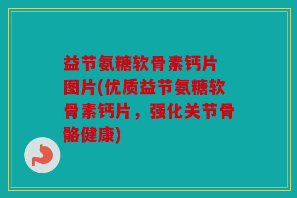益节氨糖软骨素钙片 图片(优质益节氨糖软骨素钙片,强化关节骨骼健康) 益节氨糖软骨素钙片 图片(优质益节氨糖软骨素钙片,强化关节骨骼健康)