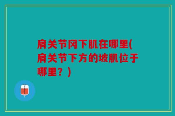 肩关节冈下肌在哪里(肩关节下方的坡肌位于哪里?) 肩关节冈下肌在哪里(肩关节下方的坡肌位于哪里?)