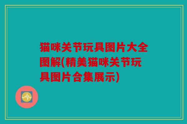 猫咪关节玩具图片大全图解(精美猫咪关节玩具图片合集展示) 猫咪关节玩具图片大全图解(精美猫咪关节玩具图片合集展示)