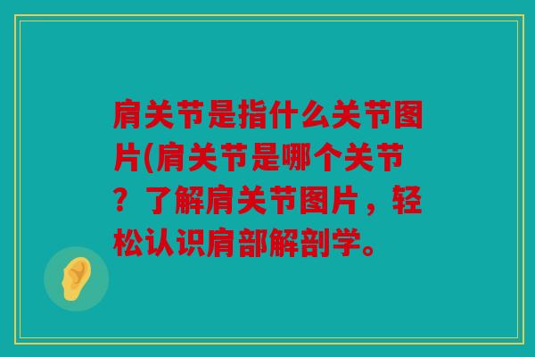 肩关节是指什么关节图片(肩关节是哪个关节？了解肩关节图片，轻松认识肩部解剖学。