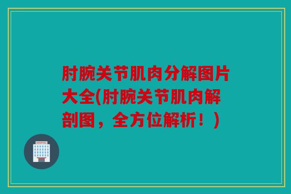 肘腕关节肌肉分解图片大全(肘腕关节肌肉解剖图,全方位解析!) 肘腕关节肌肉分解图片大全(肘腕关节肌肉解剖图,全方位解析!)