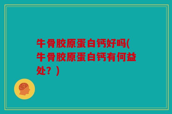 牛骨胶原蛋白钙好吗(牛骨胶原蛋白钙有何益处?) 牛骨胶原蛋白钙好吗(牛骨胶原蛋白钙有何益处?)