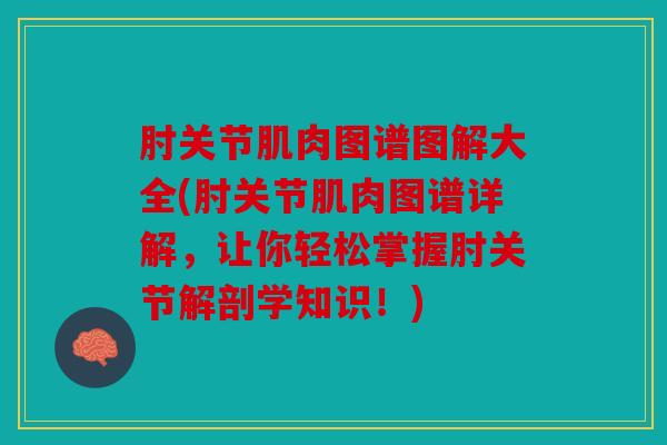 肘关节肌肉图谱图解大全(肘关节肌肉图谱详解,让你轻松掌握肘关节解剖学知识!) 肘关节肌肉图谱图解大全(肘关节肌肉图谱详解,让你轻松掌握肘关节解剖学知识!)