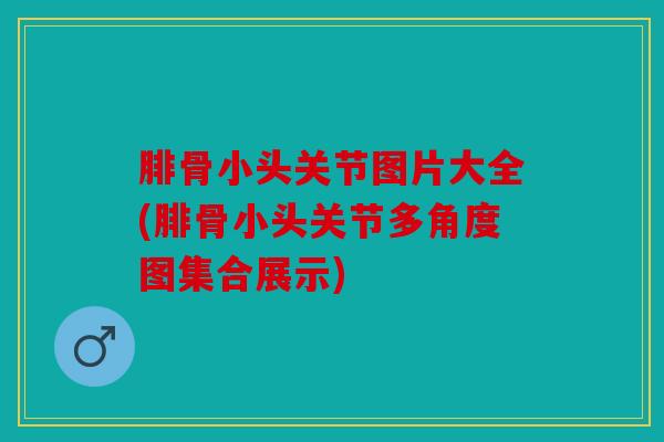 腓骨小头关节图片大全(腓骨小头关节多角度图集合展示) 腓骨小头关节图片大全(腓骨小头关节多角度图集合展示)