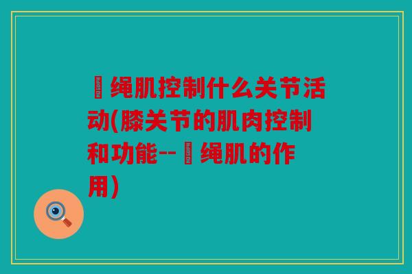 腘绳肌控制什么关节活动(膝关节的肌肉控制和功能--腘绳肌的作用)