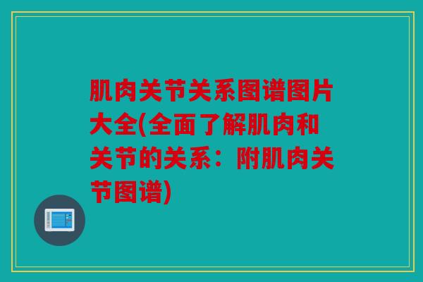 肌肉关节关系图谱图片大全(全面了解肌肉和关节的关系：附肌肉关节图谱)