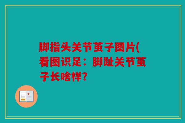 脚指头关节茧子图片(看图识足:脚趾关节茧子长啥样? 脚指头关节茧子图片(看图识足:脚趾关节茧子长啥样?