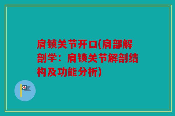 肩锁关节开口(肩部解剖学:肩锁关节解剖结构及功能分析) 肩锁关节开口(肩部解剖学:肩锁关节解剖结构及功能分析)
