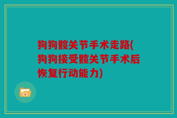 狗狗髋关节手术走路(狗狗接受髋关节手术后恢复行动能力) 狗狗髋关节手术走路(狗狗接受髋关节手术后恢复行动能力)