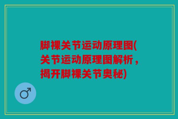 脚裸关节运动原理图(关节运动原理图解析,揭开脚裸关节奥秘) 脚裸关节运动原理图(关节运动原理图解析,揭开脚裸关节奥秘)