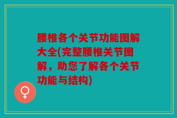 腰椎各个关节功能图解大全(完整腰椎关节图解,助您了解各个关节功能与结构) 腰椎各个关节功能图解大全(完整腰椎关节图解,助您了解各个关节功能与结构)