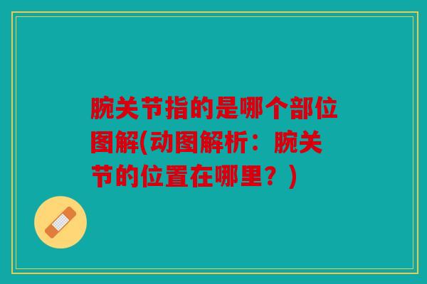 腕关节指的是哪个部位图解(动图解析:腕关节的位置在哪里?) 腕关节指的是哪个部位图解(动图解析:腕关节的位置在哪里?)