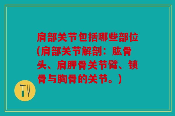 肩部关节包括哪些部位(肩部关节解剖：肱骨头、肩胛骨关节臂、锁骨与胸骨的关节。)