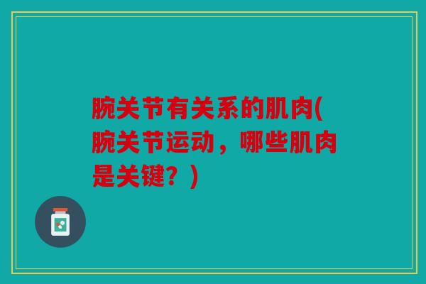 腕关节有关系的肌肉(腕关节运动，哪些肌肉是关键？)
