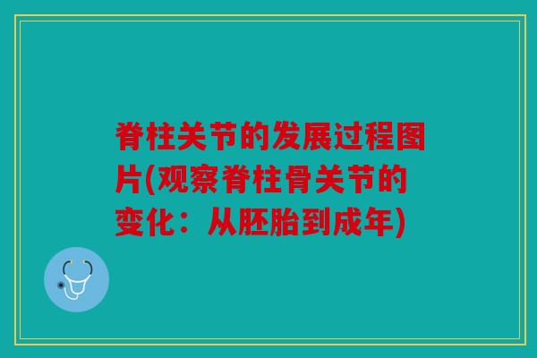 脊柱关节的发展过程图片(观察脊柱骨关节的变化：从胚胎到成年)
