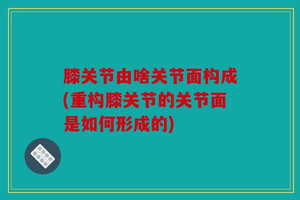 膝关节由啥关节面构成(重构膝关节的关节面是如何形成的) 膝关节由啥关节面构成(重构膝关节的关节面是如何形成的)