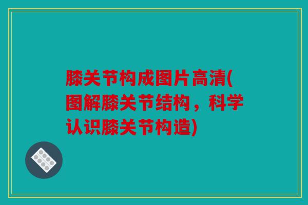 膝关节构成图片高清(图解膝关节结构,科学认识膝关节构造) 膝关节构成图片高清(图解膝关节结构,科学认识膝关节构造)