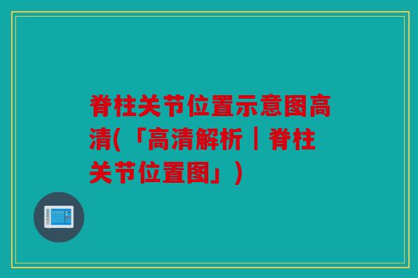 脊柱关节位置示意图高清(「高清解析｜脊柱关节位置图」)