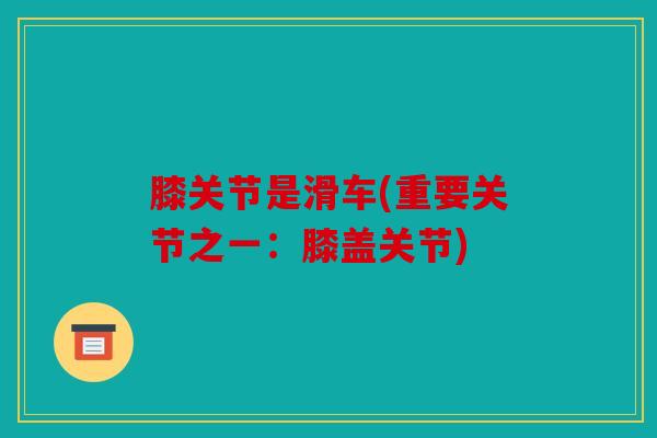 膝关节是滑车(重要关节之一：膝盖关节)