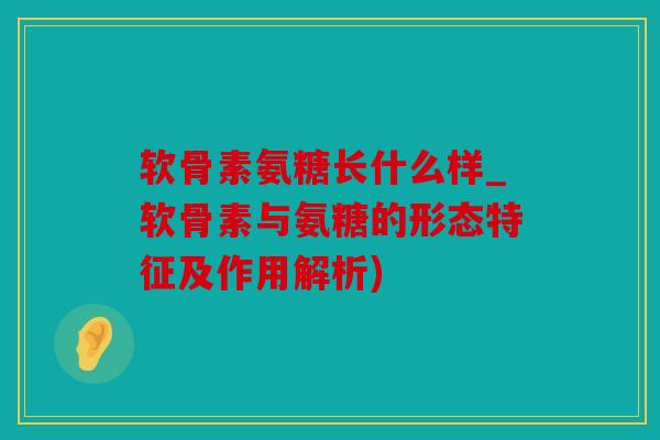 软骨素氨糖长什么样_软骨素与氨糖的形态特征及作用解析) 软骨素氨糖长什么样_软骨素与氨糖的形态特征及作用解析)