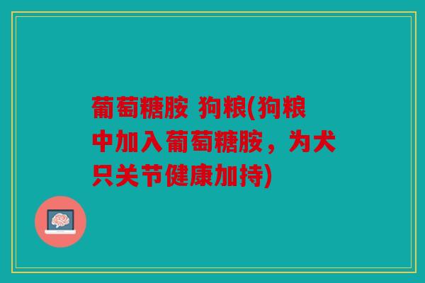 葡萄糖胺 狗粮(狗粮中加入葡萄糖胺,为犬只关节健康加持) 葡萄糖胺 狗粮(狗粮中加入葡萄糖胺,为犬只关节健康加持)