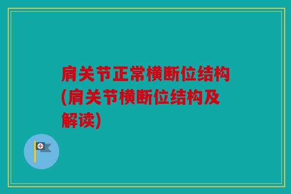 肩关节正常横断位结构(肩关节横断位结构及解读) 肩关节正常横断位结构(肩关节横断位结构及解读)