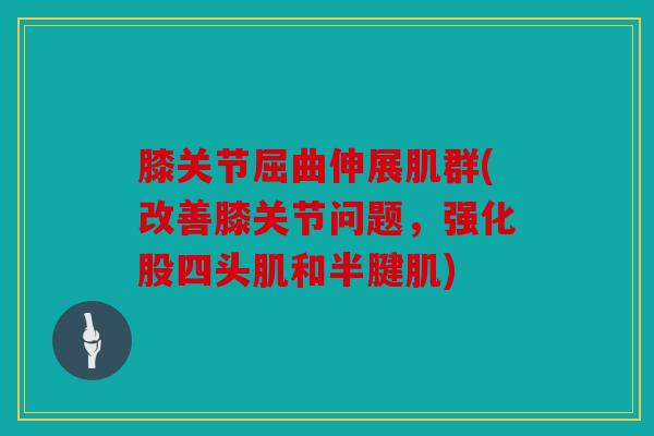 膝关节屈曲伸展肌群(改善膝关节问题,强化股四头肌和半腱肌) 膝关节屈曲伸展肌群(改善膝关节问题,强化股四头肌和半腱肌)