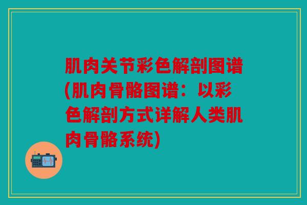 肌肉关节彩色解剖图谱(肌肉骨骼图谱:以彩色解剖方式详解人类肌肉骨骼系统) 肌肉关节彩色解剖图谱(肌肉骨骼图谱:以彩色解剖方式详解人类肌肉骨骼系统)