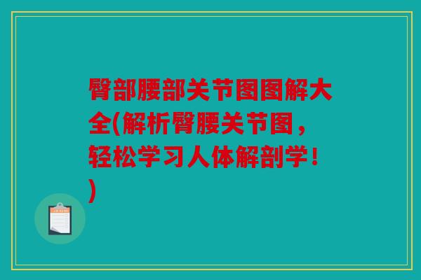 臀部腰部关节图图解大全(解析臀腰关节图,轻松学习人体解剖学!) 臀部腰部关节图图解大全(解析臀腰关节图,轻松学习人体解剖学!)